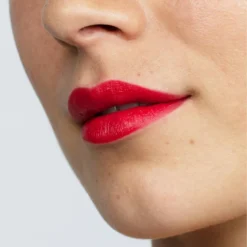 Αντίποδες Forest Berry Red Lipstick 4g -Glamdira Sales 11409280 9304991520377283